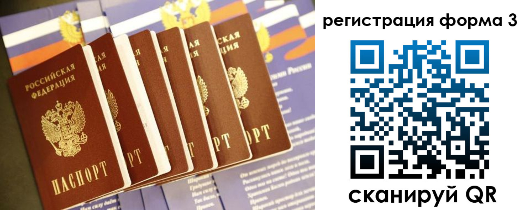прописка штамп в Светогорске
